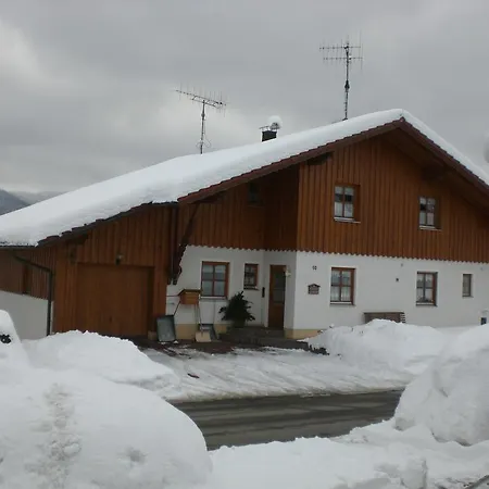 Winter Apartment